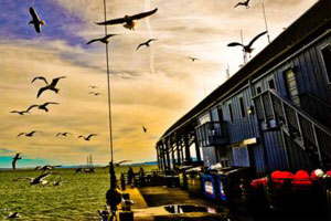 轰炸别人手机号码软件