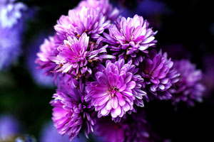 泡泡短信压力测试官网